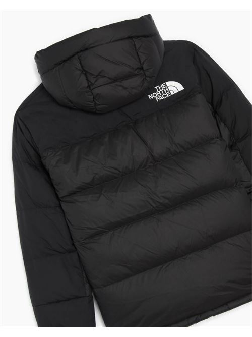 w hmlyn down parka THE NORTH FACE | NF0A4R2WJK31.JK31